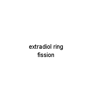 extradiol ring fission